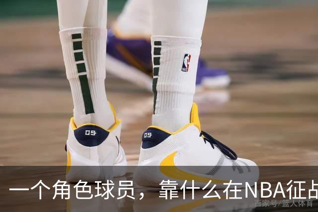 一个角色球员，靠什么在NBA征战17年